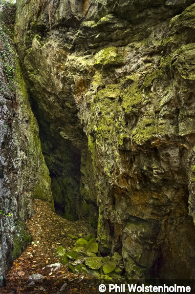 Entrance of Harrybecca/Evans Gin Mine