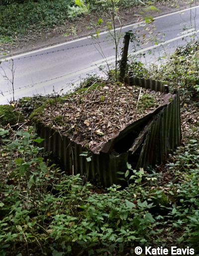 Entrance of Watergrove Sough