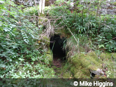 Entrance of Merry Tom Level