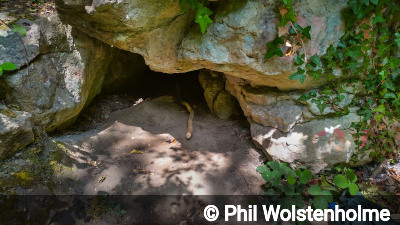 Entrance of Nearcliff Wood Rift Cave