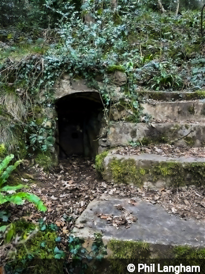 Entrance of Owlet Hole Mine