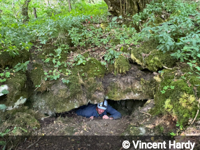 Entrance of Rabbits Hole