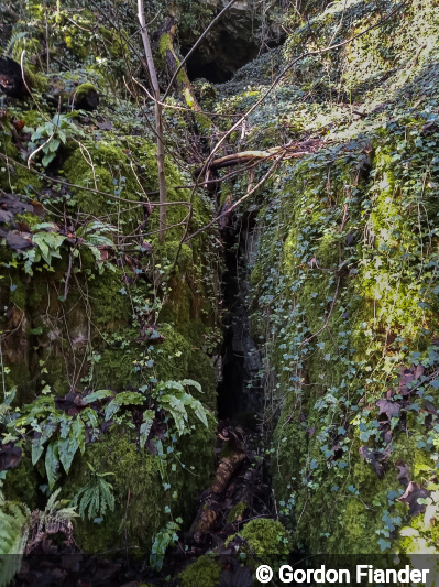 Entrance of Streaks Cave