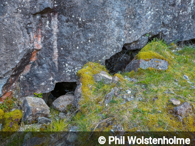 Entrance of Black Rabbit Cave