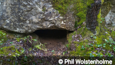 Entrance of Hobbit Hole