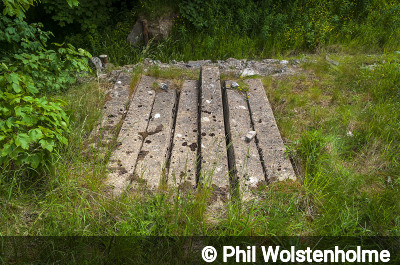 Entrance of Hartle Dale Bottom Mine