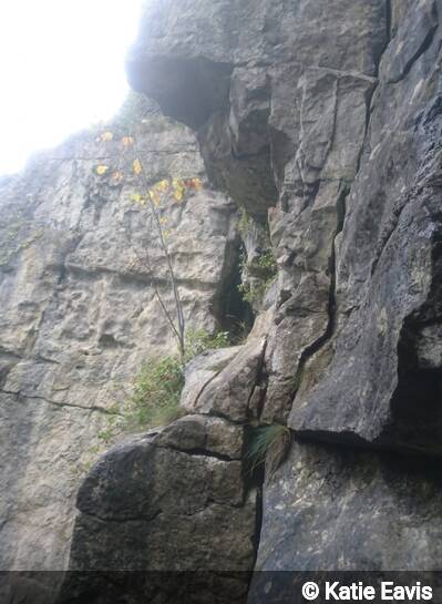 Entrance of Ivy Green Cave