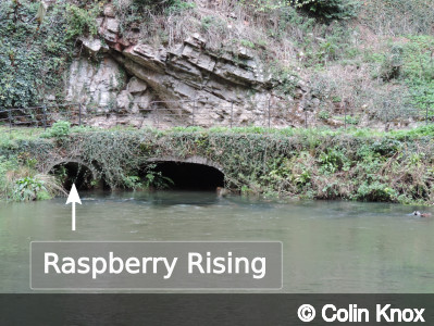 Entrance of Ilam Risings, Raspberry Rising