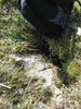 Nabs Rift / Entrance
