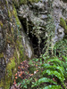 Torhills Cave / Lower Entrance