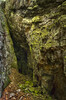 Harrybecca/Evans Gin Mine / Entrance