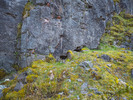 Black Rabbit Cave / Location