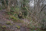 Dead Man's Cave / Location