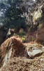 Shining Cliff Woods Cave / Upper entrance
