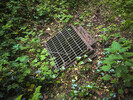 Nickergrove Mine, Palette Shaft / Entrance