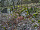 Brightside Mine / Rare Ore Bins or 'Bouse Teems'