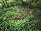 Nickergrove Mine, Palette Shaft / Location