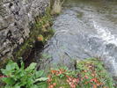 Ilam Risings, Ilam Wier Rising / Entrance (under wall)