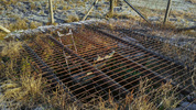 Muse Mine / Shaft Top