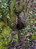 Unnamed Dig 1 / Entrance