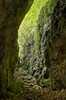 Harrybecca/Evans Gin Mine / Entrance