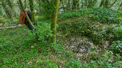 Fireset Shaft / Entrance