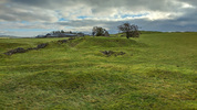 Cowclose Mine / Location