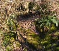 Darfar Crag Swallet / Entrance