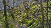 Strawberry Hole / Location