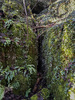 Streaks Cave / Entrance