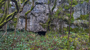 Hobbit Hole / Location