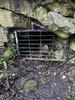 Jane Level Lead Mine / Entrance