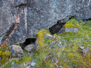 Black Rabbit Cave / Entrance