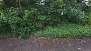 Herne Hill Cave 1 / Location