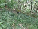 Merry Tom Level / Merry Tom mine - coe, lower level