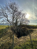 Dream Hole / Entrance