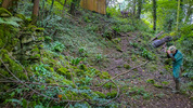 Cumberland Cavern / Showcave Entrance Location (north)