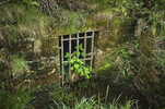 Weet Sough / Entrance