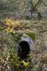 Red Rake Mine / Newburgh Level Entrance