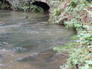 Ilam Risings, Ripple Rising / Entrance (centre, right)