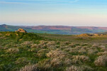 Rake Head Mine / Entrance