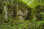Red Rake Mine / Red Rake opencut at surface looking east