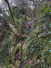 Torhills Cave / Approach to upper entrance