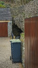 Goosehill Cave / Entrance