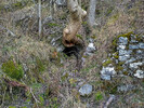 Middle Engine Mine / Adit Entrance