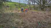 Snake Mine / Gin Circle and main shaft