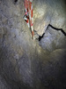 Unnamed Dig 1 / Steep climb down into the narrow capped rift.